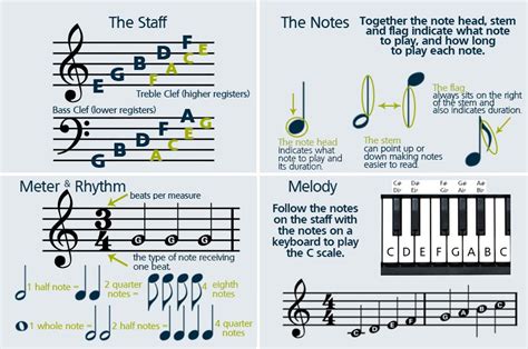 how to read ukulele sheet music and why it's important to understand music theory